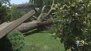 Many Customers Remain Without Power After Severe Storms Rampage Through Delaware Valley