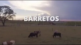 Interior de SP, o gigante do comércio brasileiro - Barretos