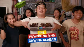 Ipis, puwede na ring gawing alaga?! | I Juander