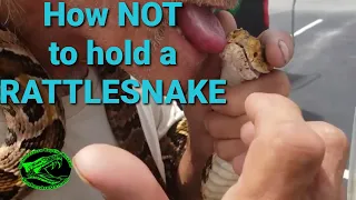 How NOT to hold a RATTLESNAKE.