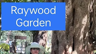 Raywood Garden Lonavala.