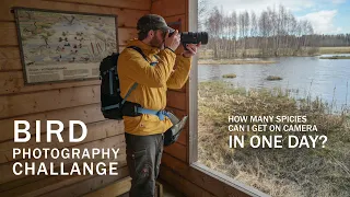 Bird Photography Challange | Nikon Z 400mm