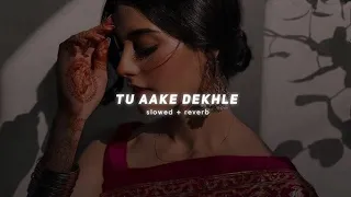 King-Tu Aake Dekhle ( Slowed+Reverb) love song ♥️♥️