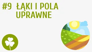 Łąki i pola uprawne #9 [ Przyroda wokół mnie ]