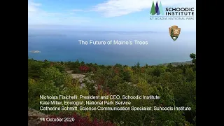 The Future of Maine's Trees