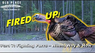 Beginners Guide to Using a Mouth Call for Turkeys - Part 7: Fighting Purrs