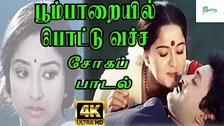 Poombaaraiyil Pottu Vacha ||பூம்பாறையில் பொட்டு வச்ச  || Ilaiyaraaja Melody Love Sad Tamil H D Song