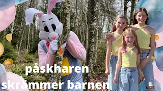 Påskharen gömmer paket i skogen & skrämmer barnen - PÅSKVLOGG