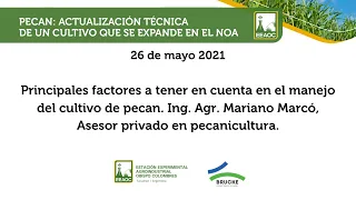 EEAOC - Pecan, actualización técnica: Principales factores en el manejo del cultivo de pecan.