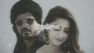 Zaalima | Raees | Shah Rukh Khan & Mahira Khan | Arijit Singh #slowedandreverb #zaalimasong