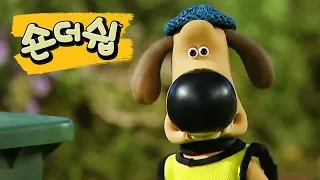 정리정돈 - 숀 더쉽 [Shaun the Sheep Korea | Full Episode]