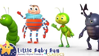 Bugs, Bugs, Bugs, Bugs, Bugs… So Many Bugs! | Little Baby Bum Animal Club | Fun Songs for Kids