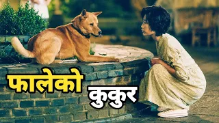 LOYAL DOG 😍 Everyone Hate this Dog at First but Later.. Movie Explained in Nepali