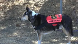 Search continues for missing hiker along Goleta trail