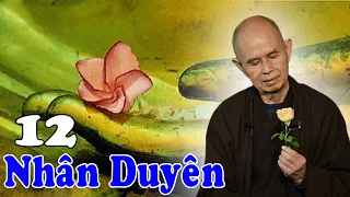 Thuyết Trọn Bộ 12 Nhân Duyên | Thiền Sư Thích Nhất Hạnh Giảng