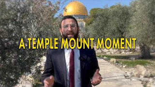 A Temple Mount Moment: The Priestly Blessing