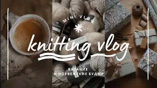 vlog 2/2024 | вязальные планы на январь 🧶✨️ две готовые работы и новый процесс 🎁 подарок