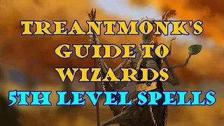 Treantmonk's Guide to Wizards: 5th level spells