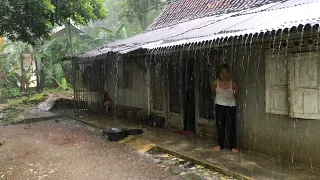 Heavy rain and strong wind in my village | Get rid of insomnia and fall asleep to the sound of rain