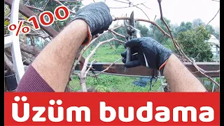 Üzüm budama nasıl yapılır?Asma budama nasıl yapılır?Üzüm-asma-budama ne zaman yapılır ?