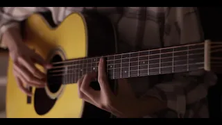 and I love her - pat metheny (cover)