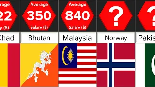 Average Salaries Around the World | Comparison | DataRush 24