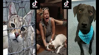 Try not to cry Tik Tok (Pet) Compilation