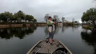 Frog fishing FIESTA on the Cane River!!! #bassfishing #fishing #louisiana #likeandsubscribe #jigs