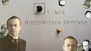 Nimzowitsch Defense Opening Theory