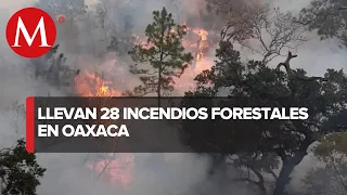 Investigan incendios forestales en Oaxaca
