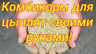 Чем кормить цыплят ?Комбикорм для цыплят от 1 месяца своими руками!