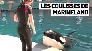 LES COULISSES DE MARINELAND