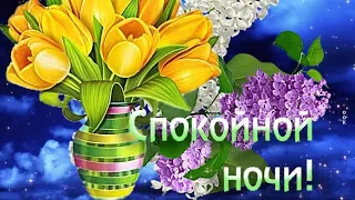 Спокойной ночи! Самых приятных снов!