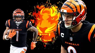 Cincinnati Bengals Hype Video Part 3 - Why Not Us