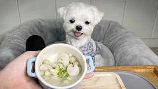 ASMR] 설 맞이 강아지 떡국 먹방🍲 | 강아지용 떡만둣국 만들기