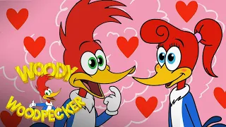 Best Moments of Woody & Winnie | Valentine's Day | Woody Woodpecker