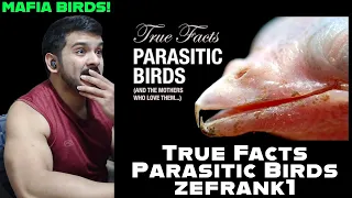 True Facts: Parasitic Birds by Zefrank1 reaction