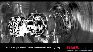 Motion Amplification - Bearing Defect Frequency