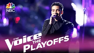 The Voice 2017 Anthony Alexander - The Playoffs: "Perfect"