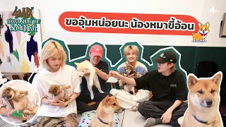 4MIX Wanna Show You Something [EP.07] | ขออุ้มหน่อยนะ...น้องหมาขี้อ้อน