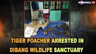 TIGER POACHER ARRESTED IN DIBANG WILDLIFE SANCTUARY