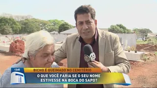 O que você faria se seu nome estivesse na boca do sapo? - Tribuna da Massa (29/07/19)