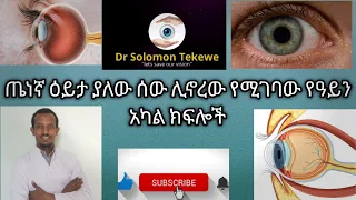 parts of human eye/የጤነኛ ዓይን አካል ክፍሎች