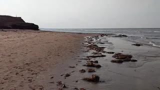 Thunder Cove Beach || Prince Edward Island || NS60 || 🏖