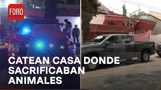 Hallan animales vivos y muertos tras cateo en casa donde hacían Santería en Naucalpan - Las Noticias