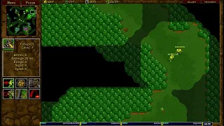 Warcraft 2 kpspwood 4v4