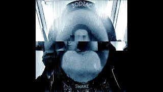 SWARZ - Grave