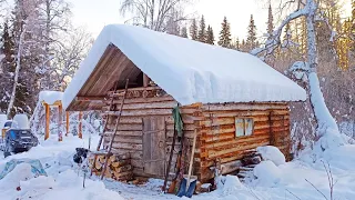 Привёз КОШКУ С ЩЕНКОМ В ТАЙГУ / -30 на улице. ЖИВЁМ В ИЗБУШКЕ / ОХОТА НА РЯБЧИКА И БЫТ В ЗИМОВЬЕ.