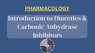 Introduction to Diuretics + Carbonic Anhydrase Inhibitors