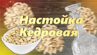 Кедровая настойка в домашних условиях